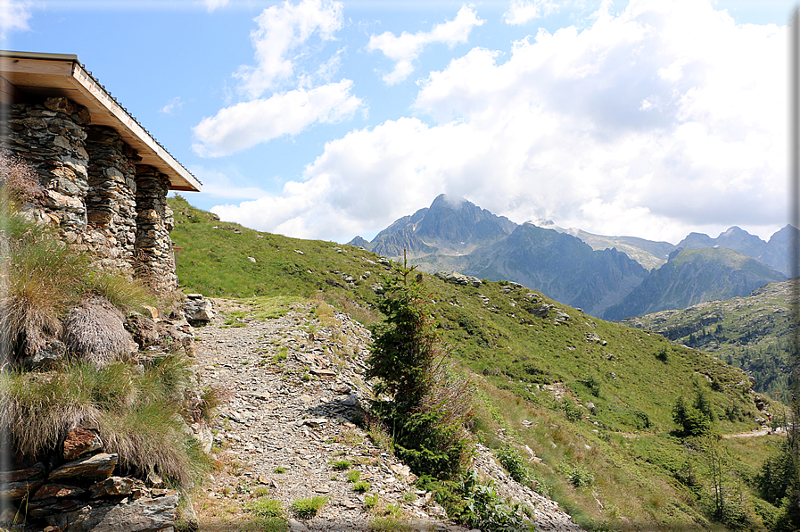 foto Trincee di Cima Socede